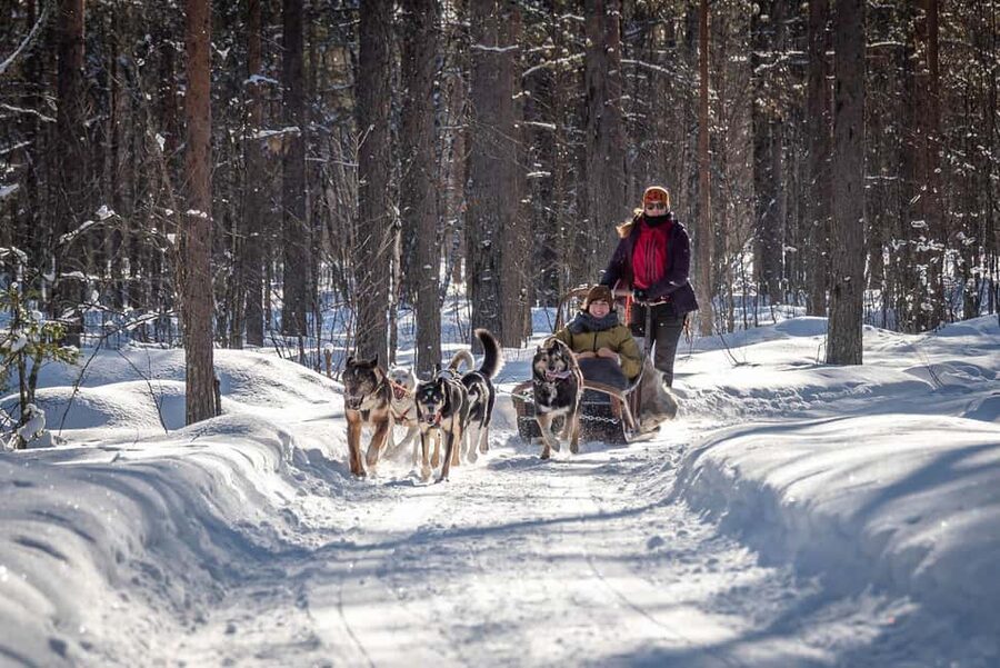 Levi: Arctic Combo – Husky & Reindeer Ride - Price and value: why $182 makes sense for this mix