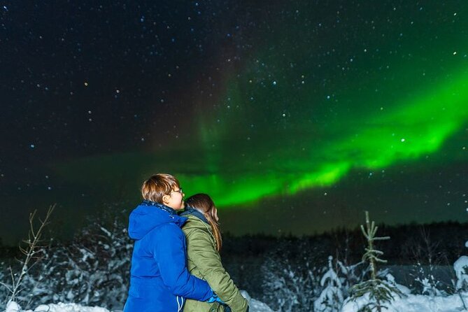 Levi: Aurora Borealis Tour and Stargazing Experience - Optional Snowshoe Walk on the Frozen Lake