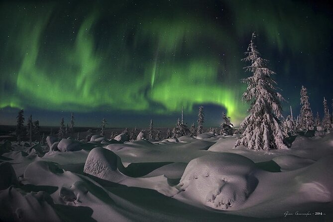 Levi: Aurora Borealis Tour and Stargazing Experience - Group Size and Atmosphere: A Maximum of 17 People