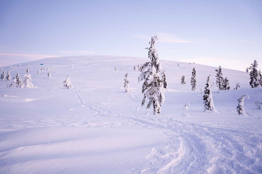 Levi: Backcountry Skiing Adventure - Key Points You’ll Care About