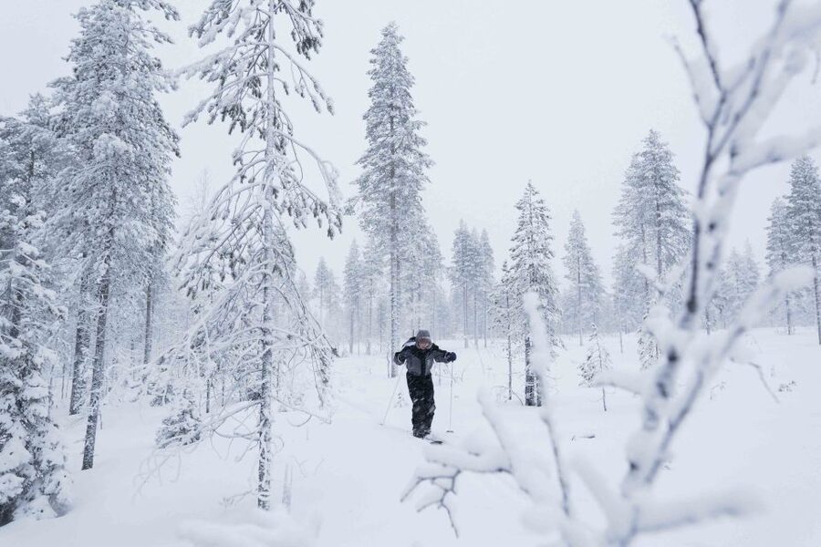 Levi: Backcountry Skiing Adventure - Price and Value: Is $115 a Good Deal?