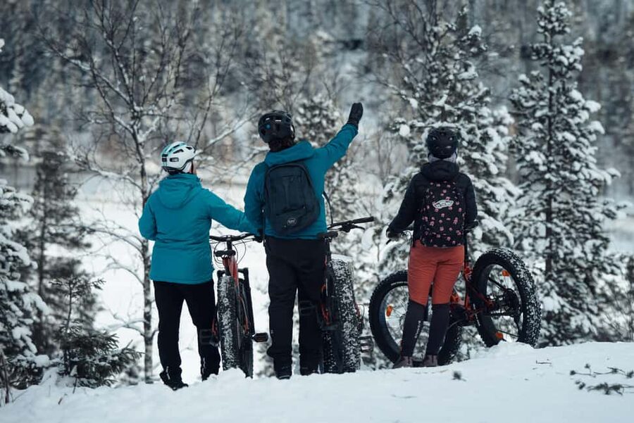 Levi: E-Fatbike Adventure in Snowy Forest - Price and value: is $149 worth 2.5 hours in the snow?
