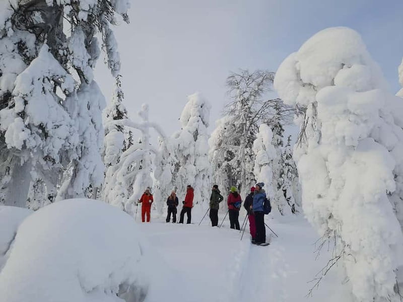 Levi: Evening Snowshoe Walk Under Northern Sky - Gear Included, Snowshoes On, and What to Expect on the Trail