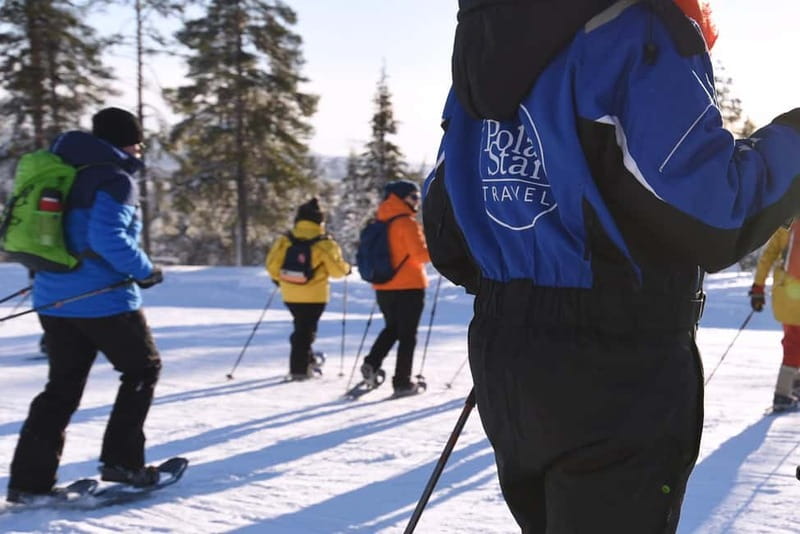 Levi: Evening Snowshoe Walk Under Northern Sky - Northern Lights Chances, Weather Reality, and How to Manage Expectations