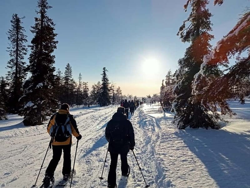 Levi: Evening Snowshoe Walk Under Northern Sky - Timing, Difficulty, and Who This Tour Fits Best