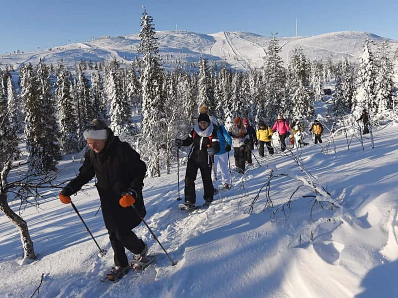 Levi: Evening Snowshoe Walk Under Northern Sky - Price and Value: Is $146 Worth It?