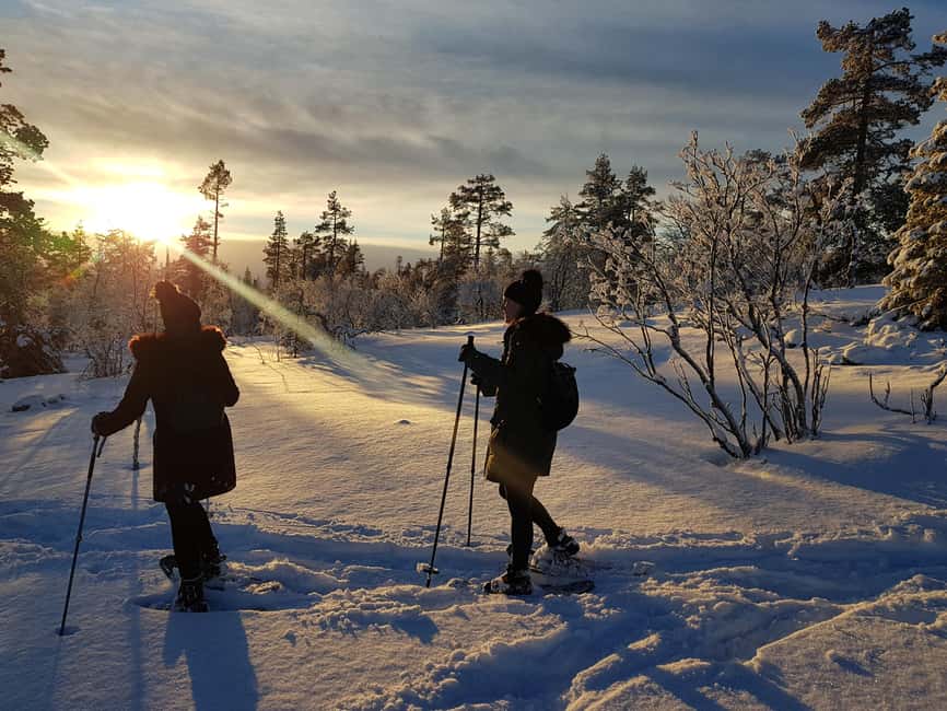 Levi: Gentle Snowshoe Walk in Winter Wilderness - Key Things I’d Pack for a Smooth Snowshoe Walk