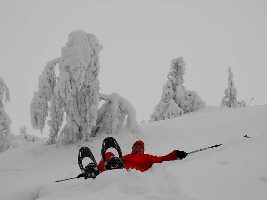 Levi: Gentle Snowshoe Walk in Winter Wilderness - Walking Near Kätkä Fell Through Quiet Arctic Forest