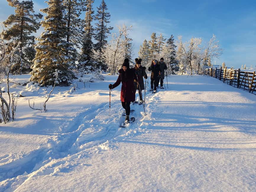 Levi: Gentle Snowshoe Walk in Winter Wilderness - Meeting Outside Visit Levi Tourist Info: What to Expect Up Front