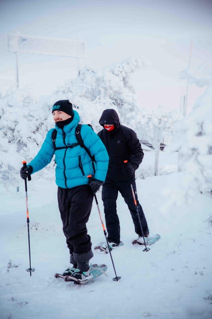 Levi: Guided Snowshoeing Adventure - Key things that make this snowshoeing tour worth your time