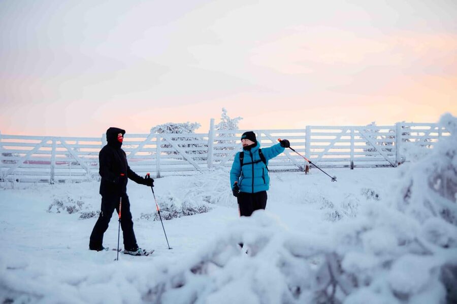 Levi: Guided Snowshoeing Adventure - Entering Finnish Lapland’s quiet on a 2-hour guided snowshoe outing