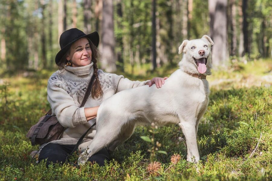 Levi: Horse and Husky Farm Visit with Juice and Cookies - Husky Training and Daily Life, Explained at Husky Speed