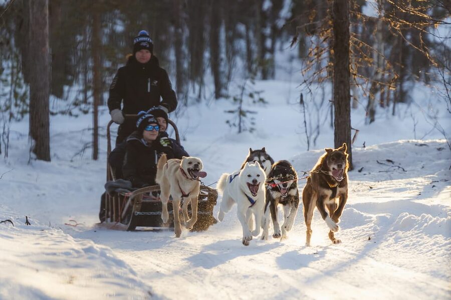 Levi: Husky Adventure Self-Drive Safari 15km - Key Things I’d Pay Attention To
