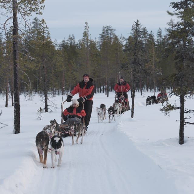Levi: Husky Adventure Self-Drive Safari 15km - Getting to the Family Farm, Not a Factory Queue