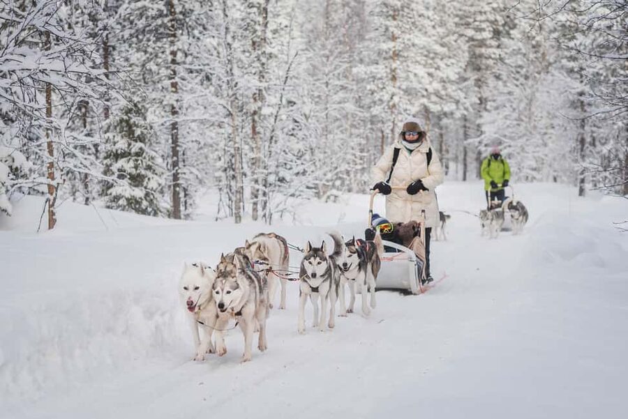 Levi: Husky Adventure Self-Drive Safari 15km - Your Husky Team: Two People Per Sled