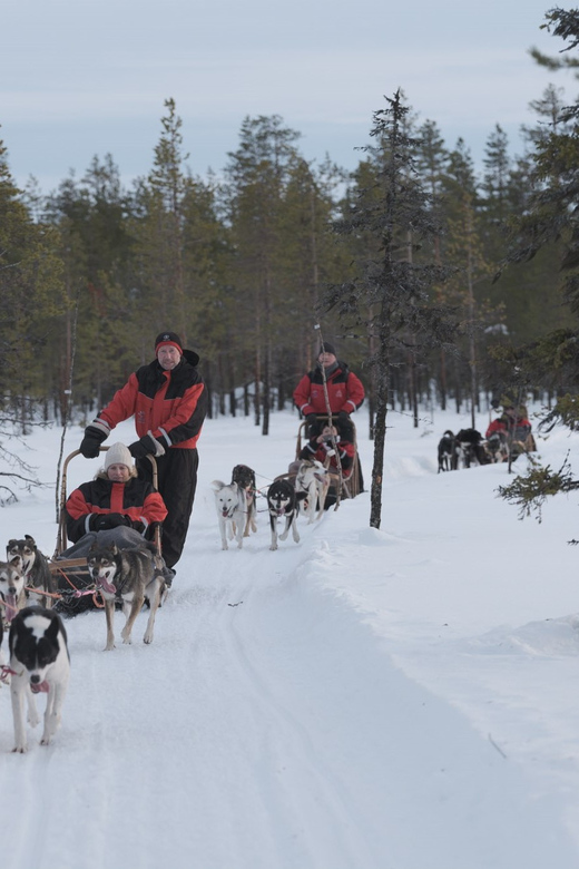 Levi: Husky Adventure Self-Drive Safari 15km - Safety Briefing That Actually Prepares You