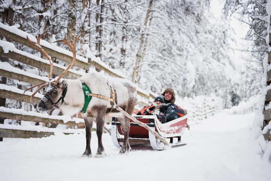 Levi: Husky and Reindeer Farm Tour with Sled Ride - Arriving at the farm: the real start happens before the sleds