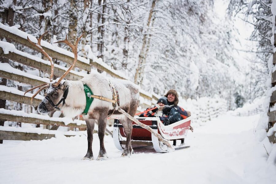 Levi: Husky and Reindeer Farm Visit with Snowmobiling - The snowmobile safari: 1 hour of forest trails in Levi