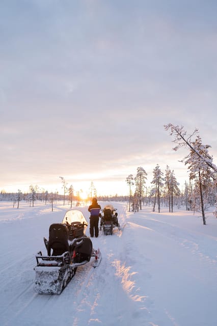Levi: Husky and Reindeer Farm Visit with Snowmobiling - Reindeer farm time with a 500m sledge ride and a herder lesson