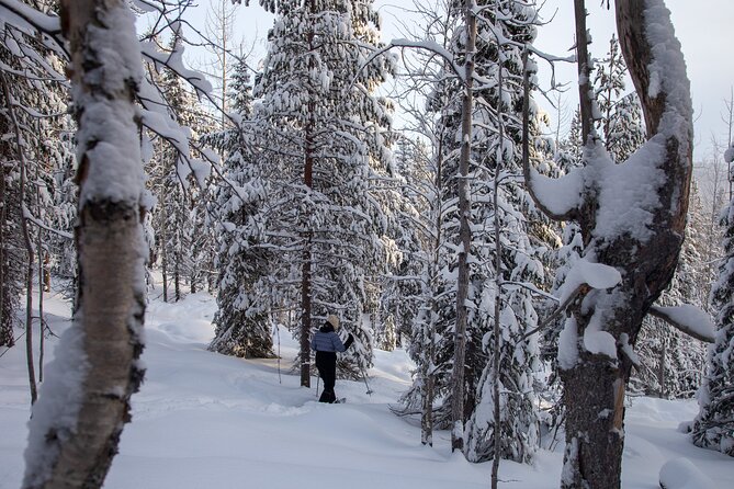 Levi: Lakeside forest snowshoeing - Getting there: from Levintie 1603 into Levi winter