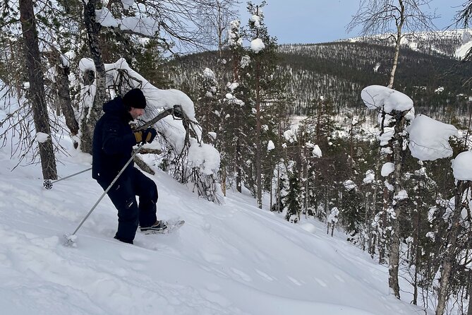 Levi: Lakeside forest snowshoeing - Walking the frozen lake near Levi is the main event