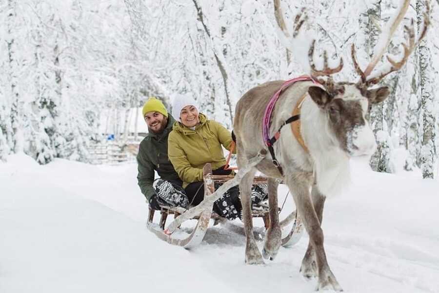 Levi: Lapland Reindeer and Husky Safari - Getting picked up in Levi for a fast, focused winter safari