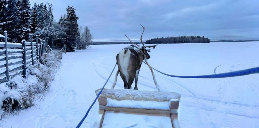 Levi: Lapland Reindeer Safari - What to wear in Levi winter for this safari