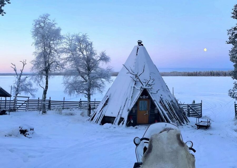 Levi: Lapland Reindeer Safari - The working reindeer farm: lichen feeding and real animal routines