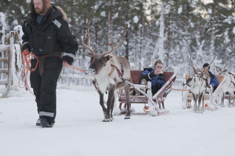 Levi: Lappish Reindeer Sled Ride 3 km - Levi Reindeer Sled Ride: Quiet Forest Time You Can Actually Enjoy