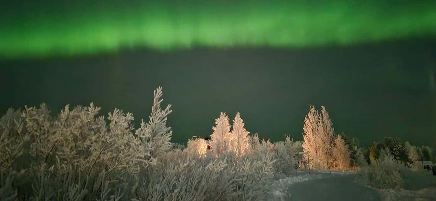 Levi: Northern Lights by Minivan with hot drinks and snacks - Guide Mikus: calm energy, local instincts, and photo help