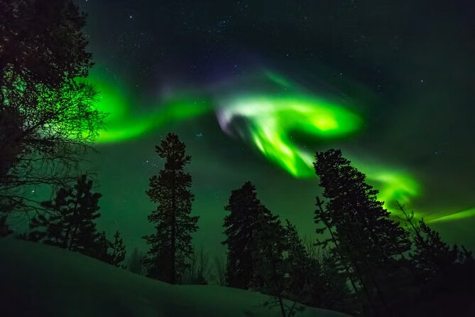Levi Northern Lights Experience - Quick reasons this Levi aurora hunt works