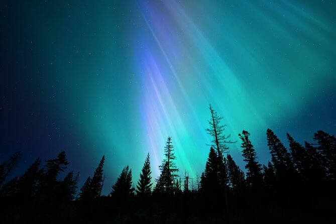 Levi Northern Lights Experience - Warm cabin time: hot drinks, snacks, and getting your feet back