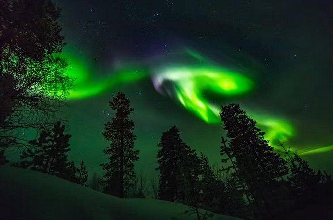 Levi Northern Lights Experience - Your guide can make or break the night: Toni, Tim, Taru, and MP