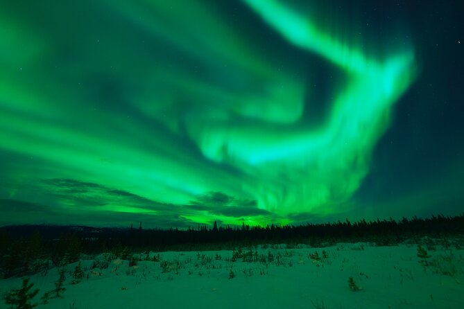 Levi Northern Lights Experience - What’s included, what’s not, and what you should plan for