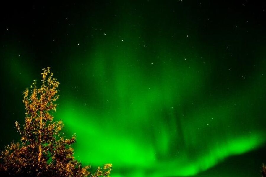Levi: Northern Lights Hunt Including Campfire Snacks - Price and Value: What $153 Gets You, and What It Does Not