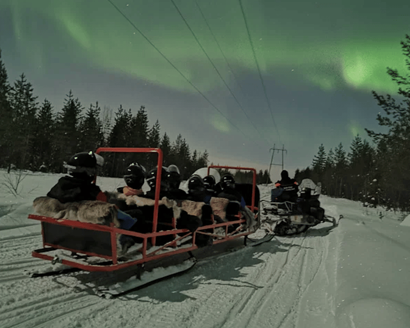 Levi: Northern Lights Sledge Ride - Northern Lights Sledge Ride in Levi: The Real Point of the Tour