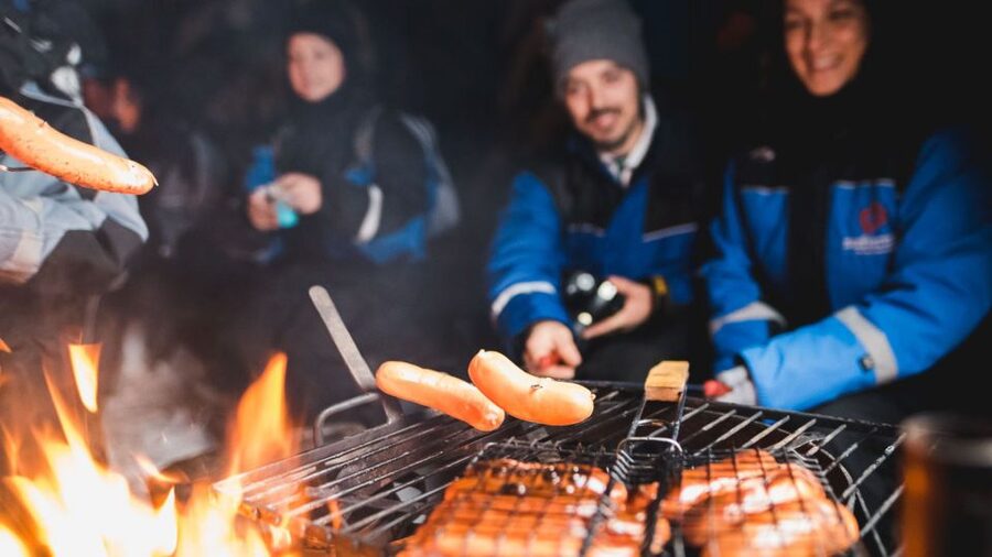 Levi: Northern Lights Snowmobile Tour with Snacks and Drinks - Key points to know before you go