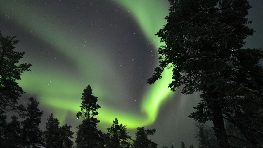 Levi: Northern Lights Snowmobile Tour with Snacks and Drinks - Group size, comfort, and who this suits best
