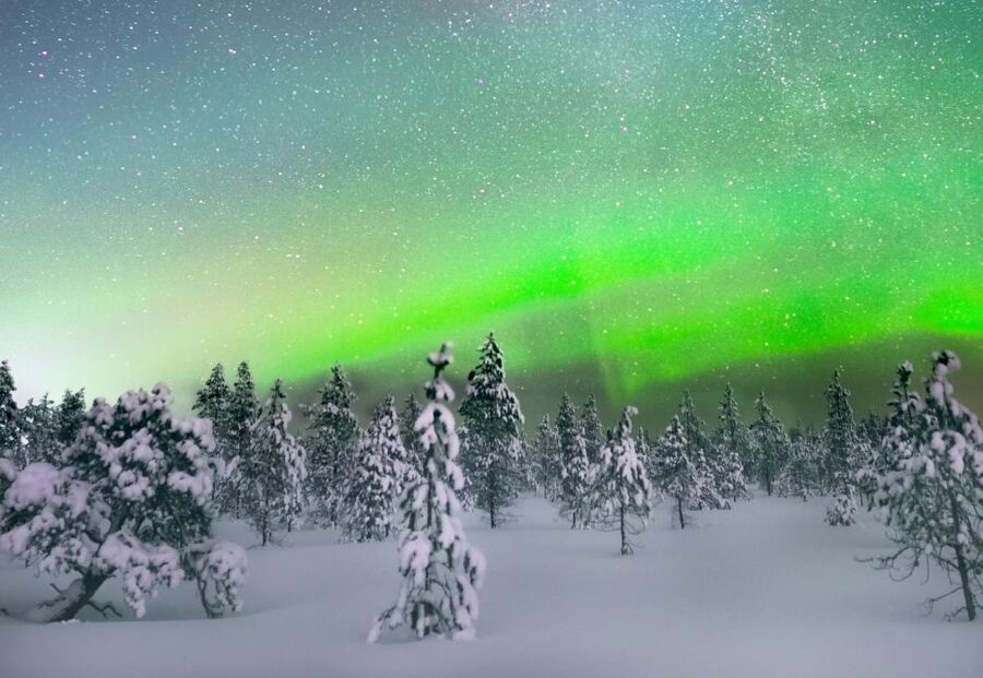 Levi: Northern Lights Snowmobile Tour with Snacks and Drinks - Price and value: what you are paying for