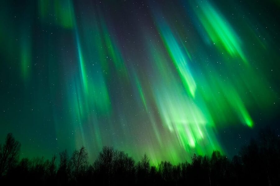 Levi: Northern Lights Tour with Guaranteed Sightings - Key points to know before you book