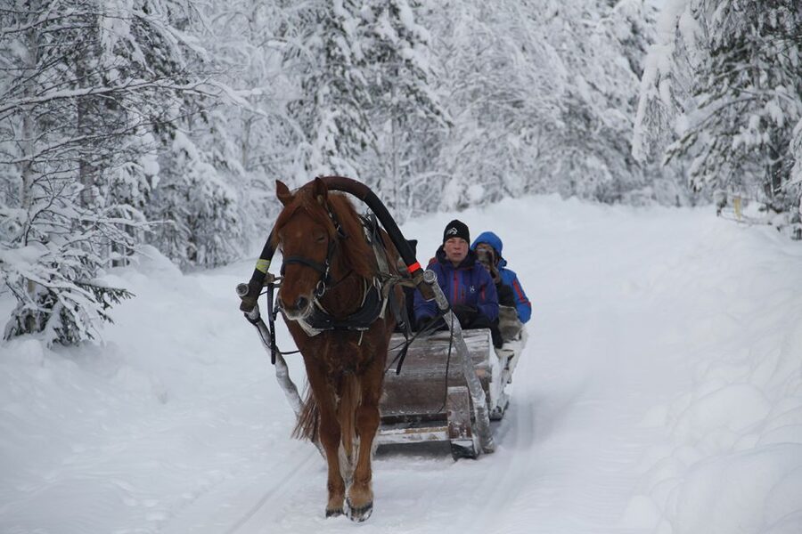Levi: One Horse Open Sleigh Ride - Key points before you go