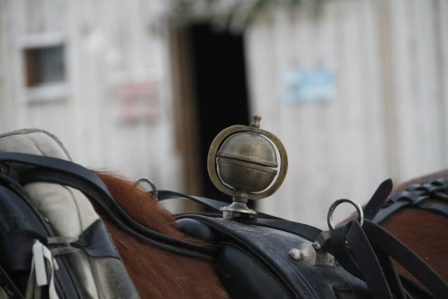 Levi: One Horse Open Sleigh Ride - Starting at Levi Center, what the first 20 minutes actually feel like