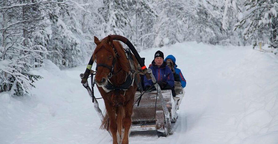 Levi: One Horse Open Sleigh Ride - The sleigh ride on a quiet snowy trail, plus a photo stop plan