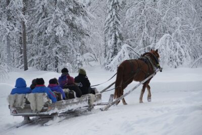 One Horse Open Sleigh Ride