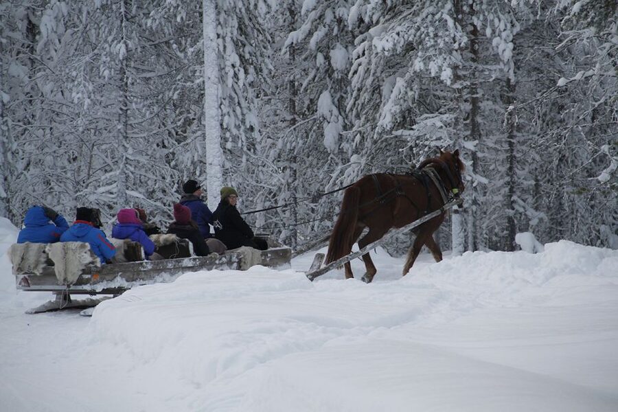 Levi: One Horse Open Sleigh Ride - Who this ride suits best in Lapland (and who might not love it)