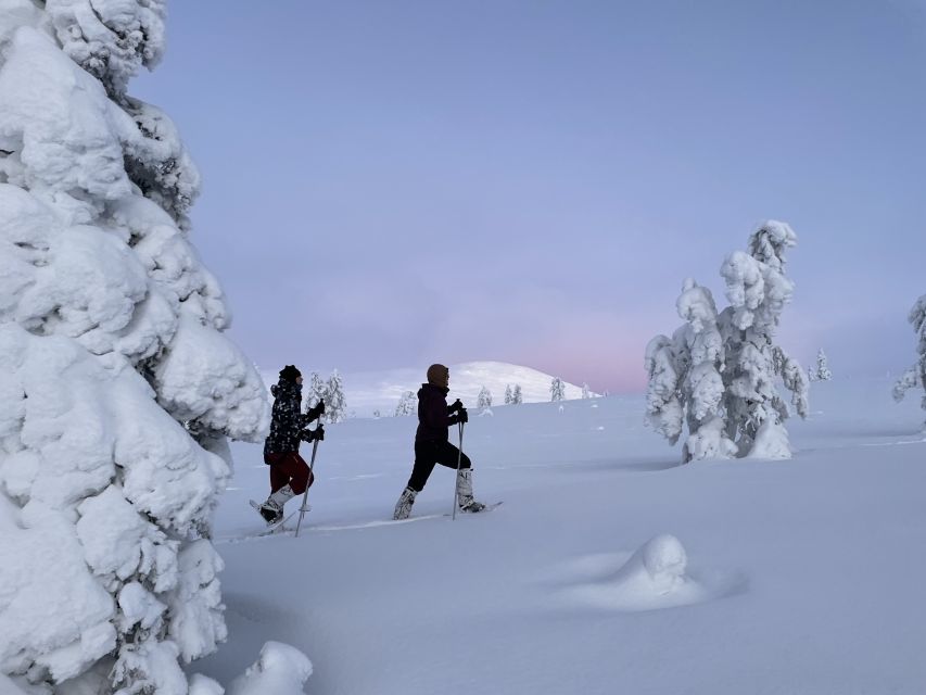 Levi: Pallas-Yllästunturi National Park Snowshoeing Tour - Entering Pallas-Yllästunturi’s Arctic Quiet