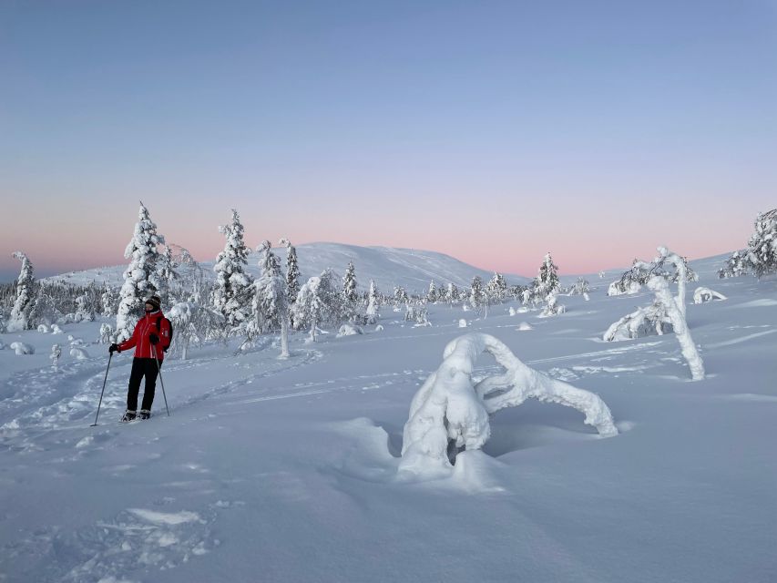 Levi: Pallas-Yllästunturi National Park Snowshoeing Tour - Lunch by the campfire hut: what you get and how to enjoy it