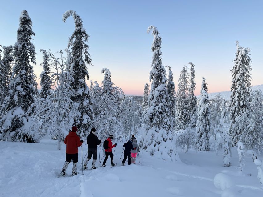 Levi: Pallas-Yllästunturi National Park Snowshoeing Tour - The guide factor: explanations, pace, and comfort
