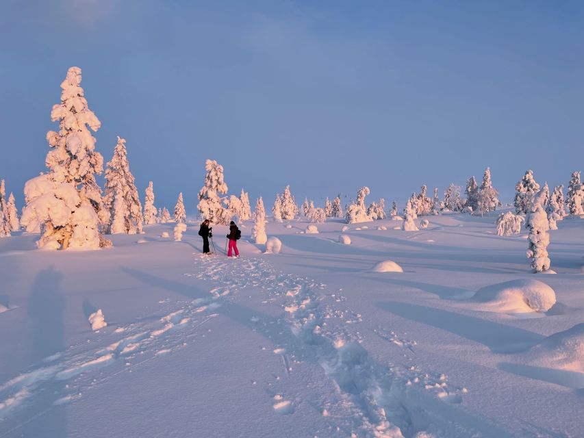 Levi: Pallas-Yllästunturi National Park Snowshoeing Tour - Who should book this snowshoe tour in Lapland