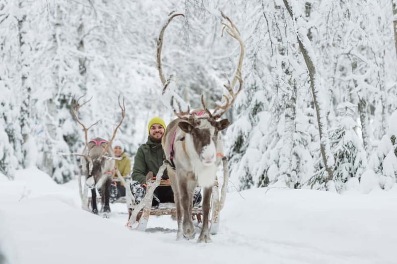 Levi: Reindeer Experience with Sled Ride - Cold air, warm stories: the 2-hour flow you’ll actually feel